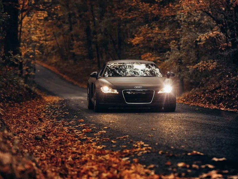 HANS Device Buyer's Guide: HANS vs Hybrid, Tether Types, and Helmet Anchors